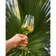 Verres Universel Zalto